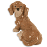 ミニチュアダックスフンド