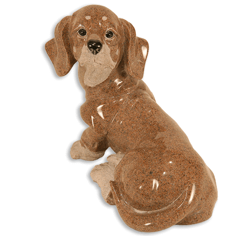 ミニチュアダックスフンド