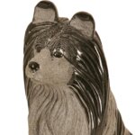 シェットランドシープドック