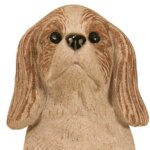 キャバリアキングチャールズスパニエル