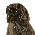 アメリカンコッカースパニエル