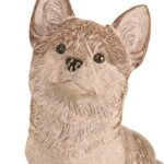 ウエルシュコーギー・ペンブローグ